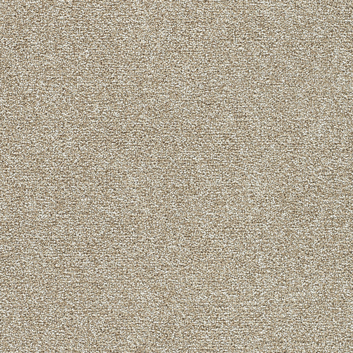 DreamWeaver - Breakview III - Carpet