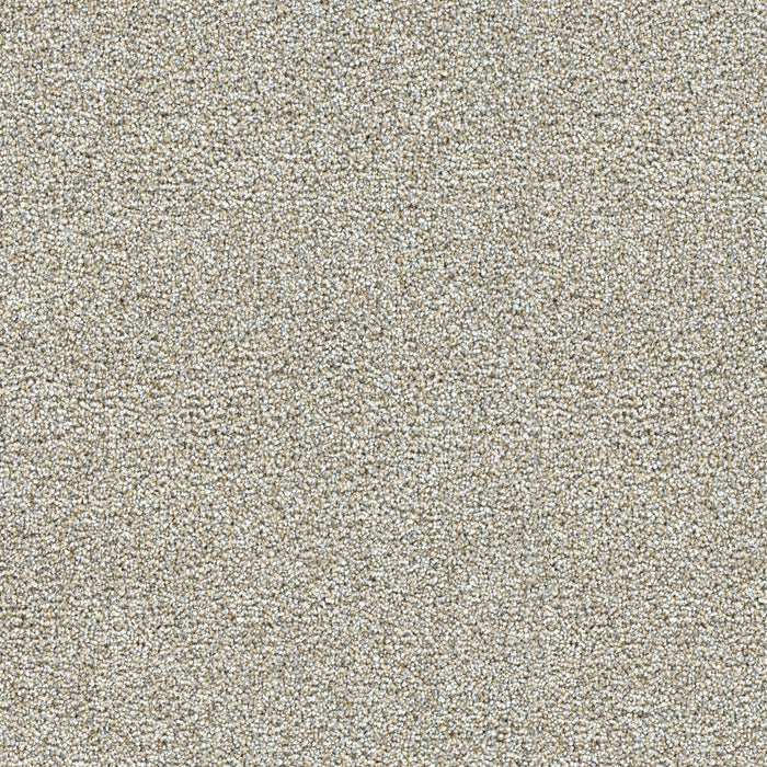 DreamWeaver - Breakview III - Carpet