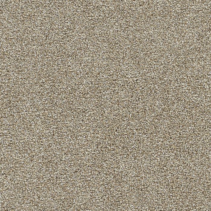 DreamWeaver - Breakview III - Carpet