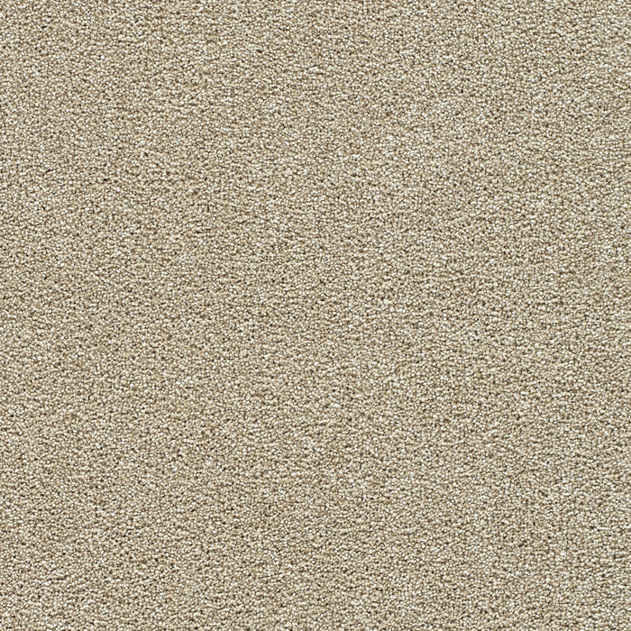 DreamWeaver - Breakview III - Carpet
