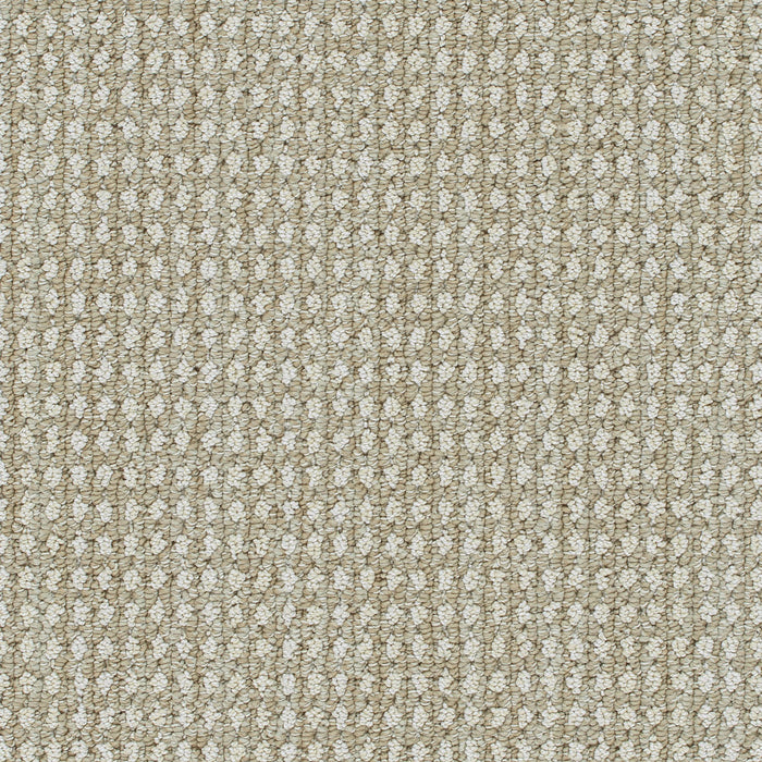 DreamWeaver - Brunswick - Carpet