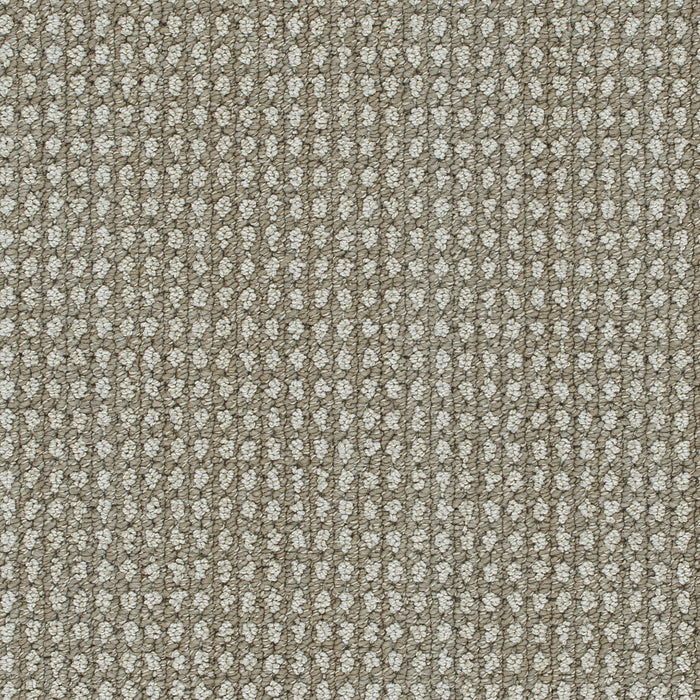DreamWeaver - Brunswick - Carpet