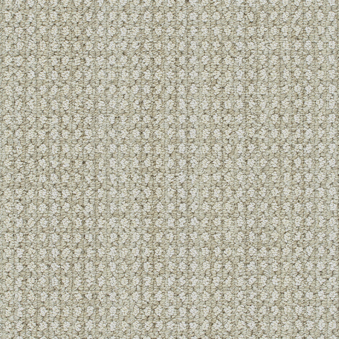 DreamWeaver - Brunswick - Carpet