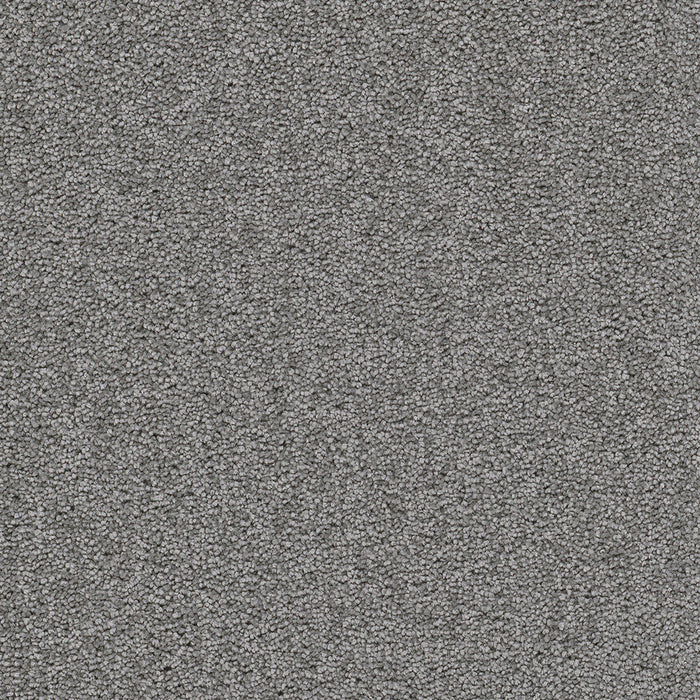 DreamWeaver - Cape Cod - Carpet