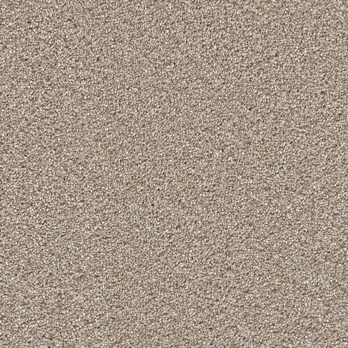 DreamWeaver - Cape Cod - Carpet