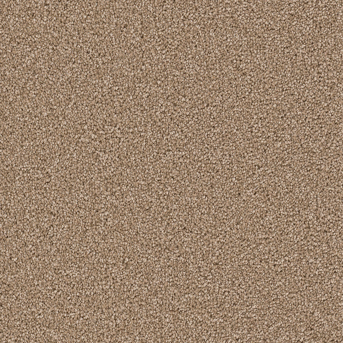 DreamWeaver - Cape Cod - Carpet