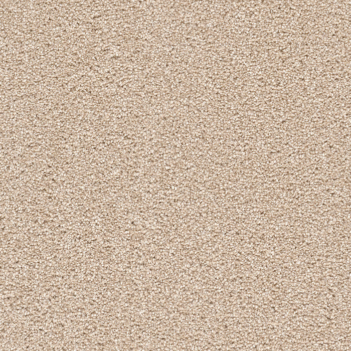 DreamWeaver - Cape Cod - Carpet