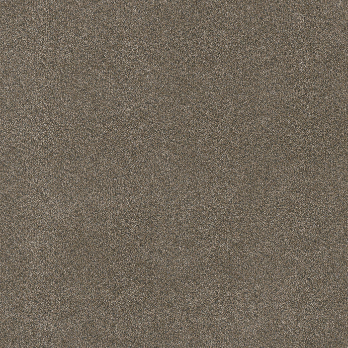 DreamWeaver - Cape Cod - Carpet