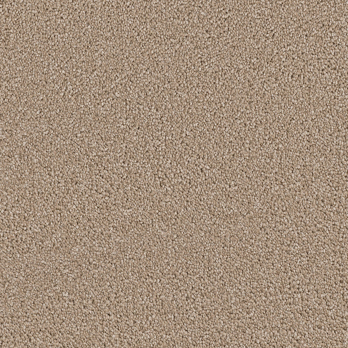 DreamWeaver - Cape Cod - Carpet