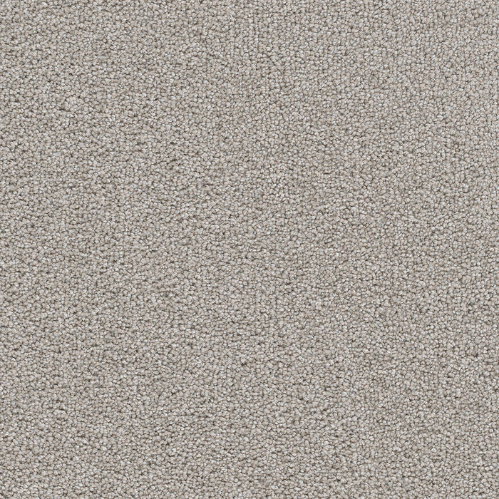 DreamWeaver - Cape Cod - Carpet