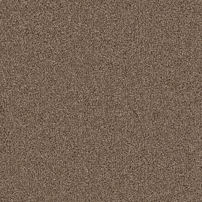 DreamWeaver - Cape Cod - Carpet