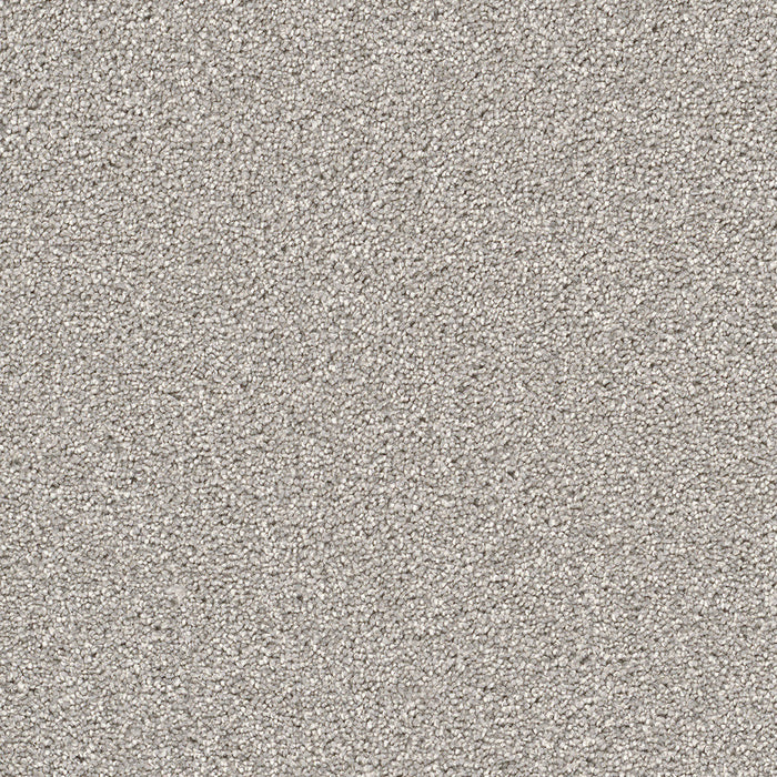 DreamWeaver - Cape Cod - Carpet