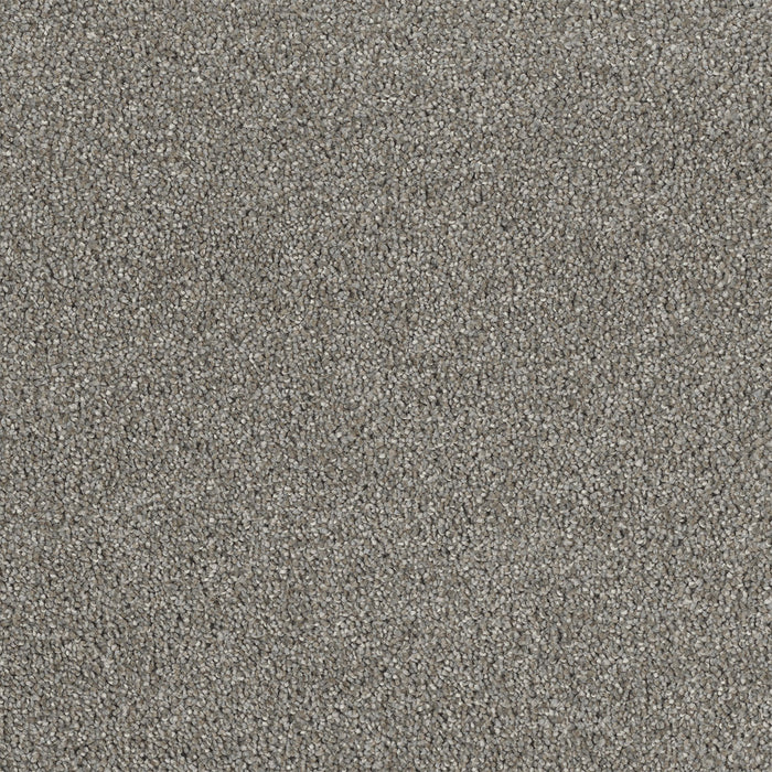 DreamWeaver - Cape Cod - Carpet