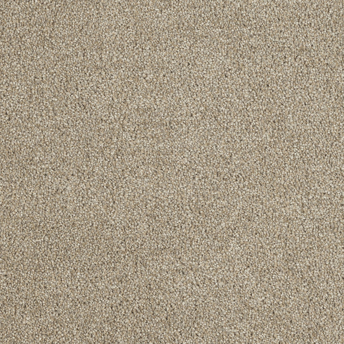 DreamWeaver - Cape Cod - Carpet