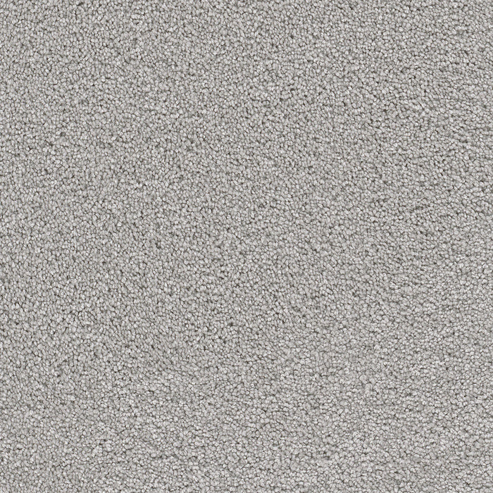 DreamWeaver - Cape Cod - Carpet