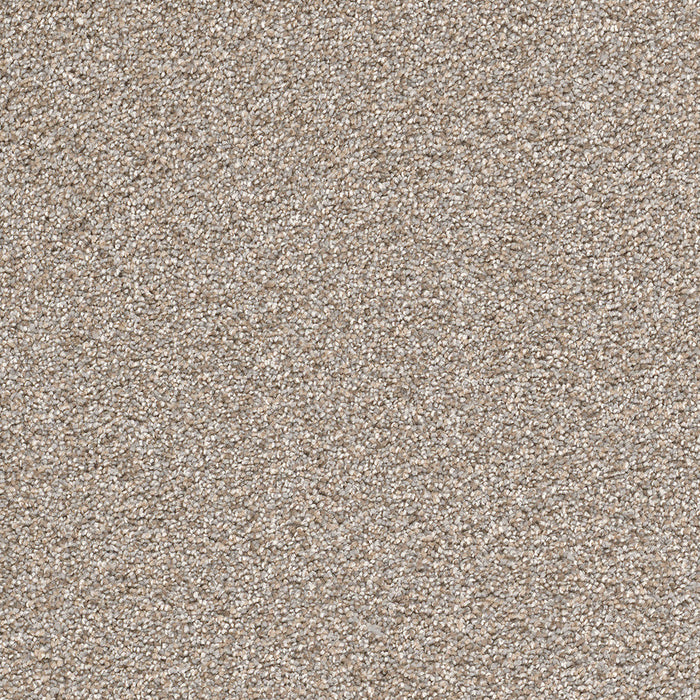 DreamWeaver - Cape Cod - Carpet