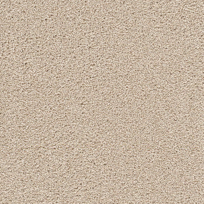 DreamWeaver - Cape Cod - Carpet