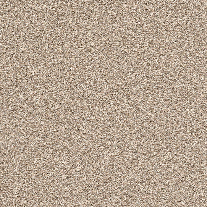 DreamWeaver - Cape Cod - Carpet