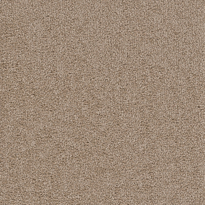 DreamWeaver - Cape Cod - Carpet