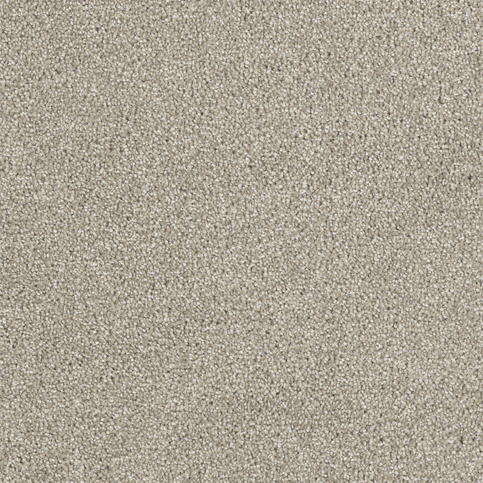 DreamWeaver - Cape Cod - Carpet