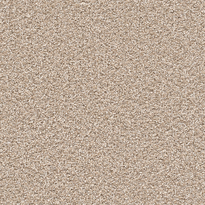 DreamWeaver - Cape Cod - Carpet