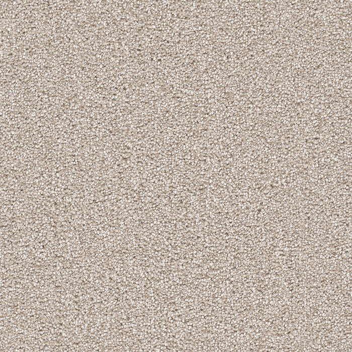 DreamWeaver - Cape Cod - Carpet