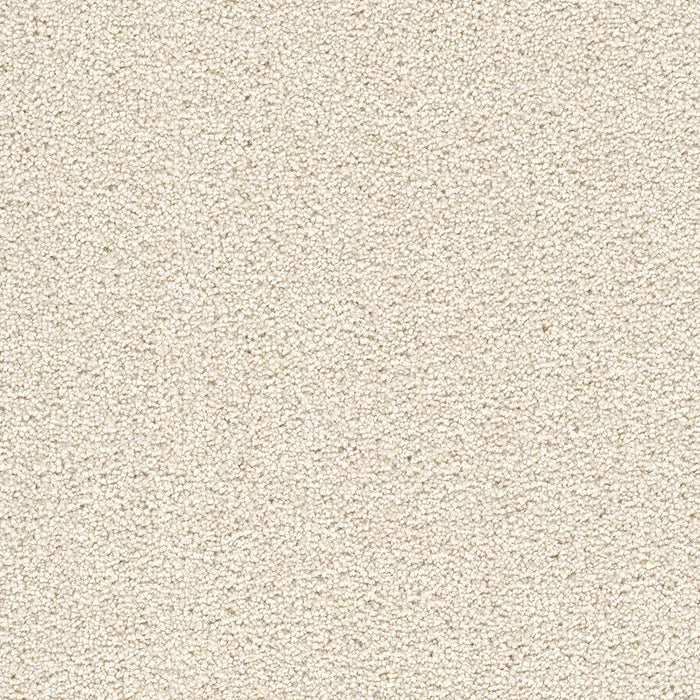 DreamWeaver - Cape Cod - Carpet