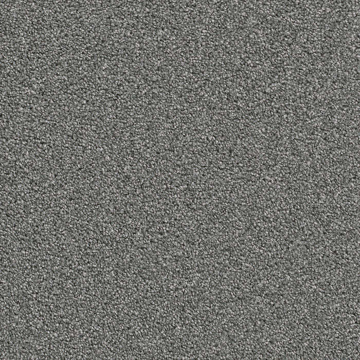 DreamWeaver - Cape Cod - Carpet