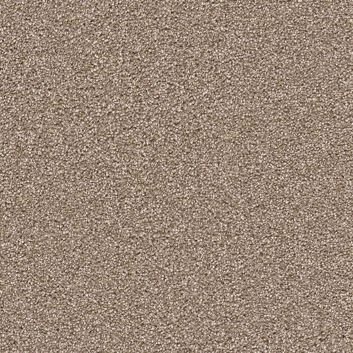 DreamWeaver - Cape Cod - Carpet