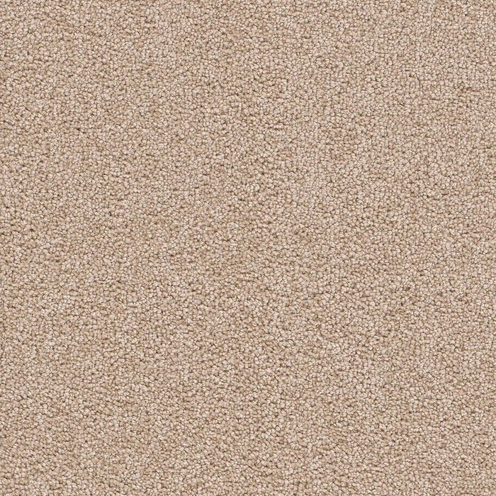 DreamWeaver - Cape Cod - Carpet