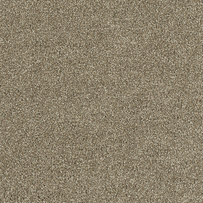 DreamWeaver - Cape Cod - Carpet