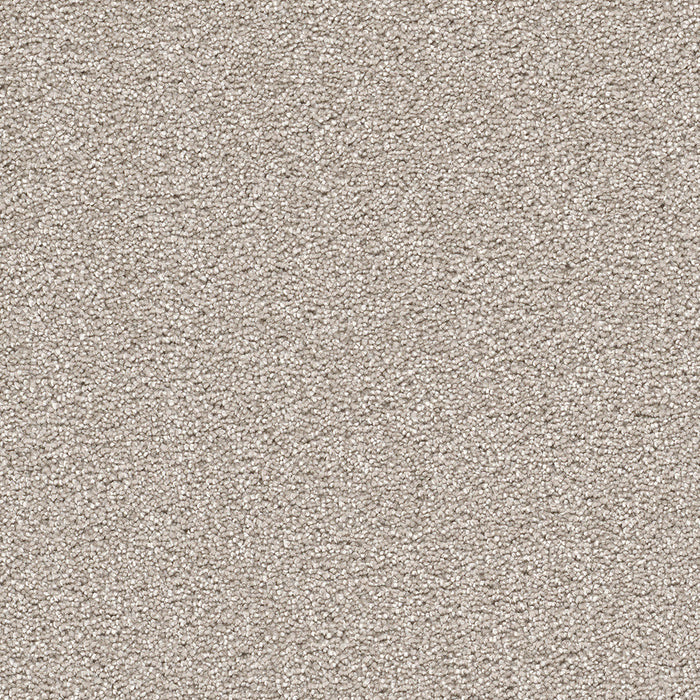 DreamWeaver - Cape Cod - Carpet