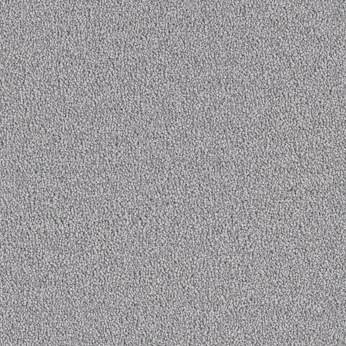 DreamWeaver - Cape Cod - Carpet