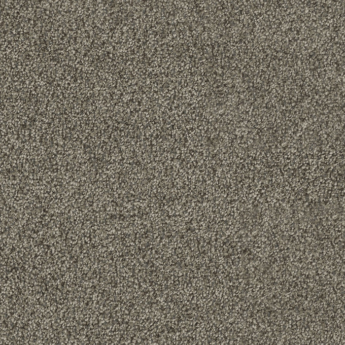 DreamWeaver - Cape Cod - Carpet