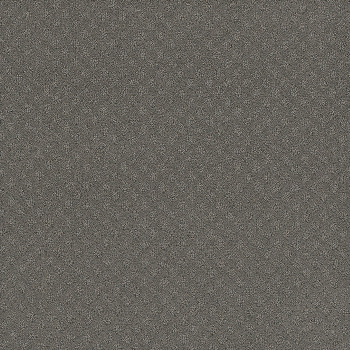 DreamWeaver - Capri - Carpet