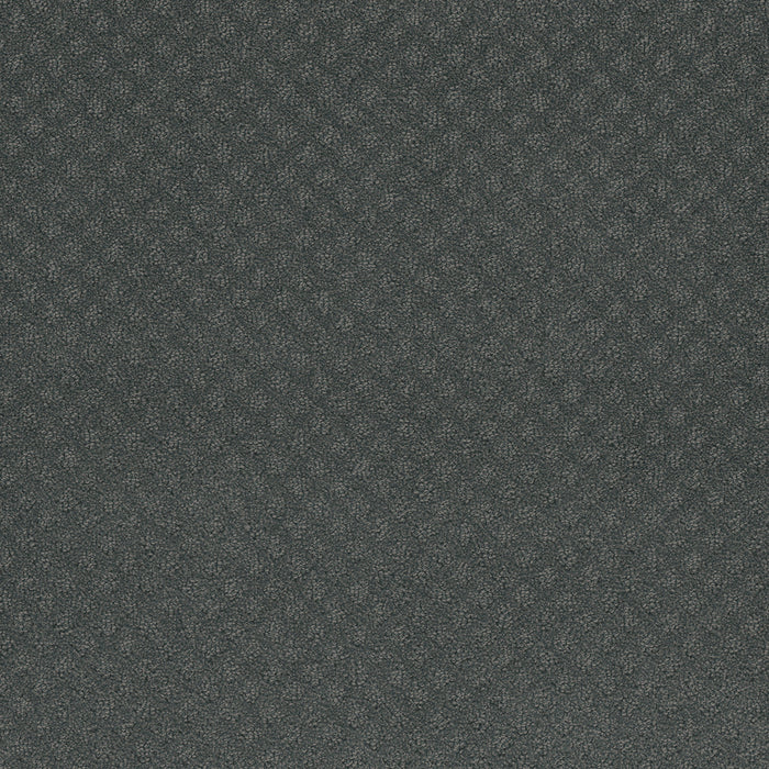 DreamWeaver - Capri - Carpet