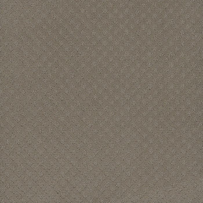 DreamWeaver - Capri - Carpet