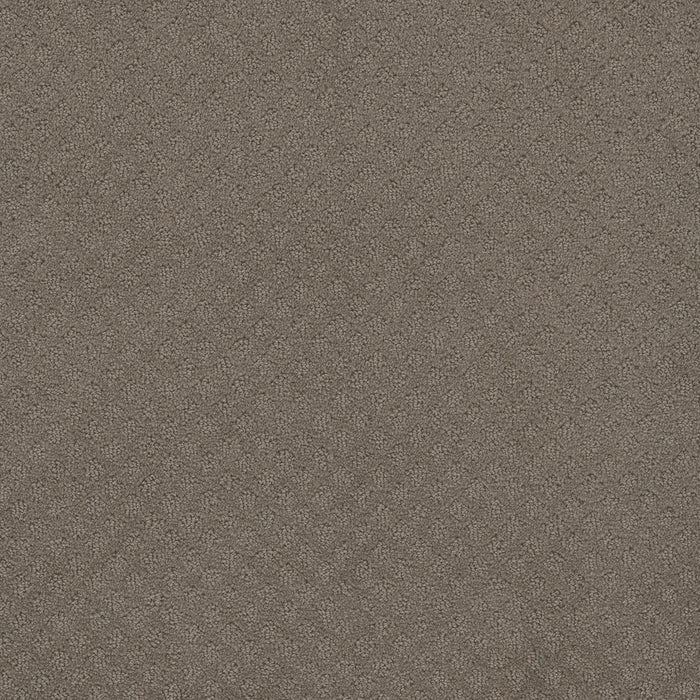 DreamWeaver - Capri - Carpet