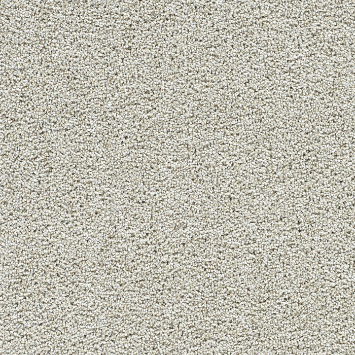 DreamWeaver - Captivating III - Carpet