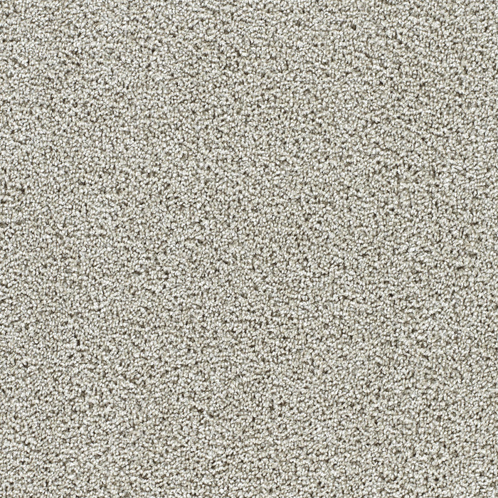 DreamWeaver - Captivating III - Carpet