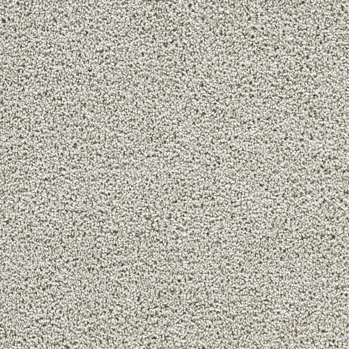 DreamWeaver - Captivating III - Carpet