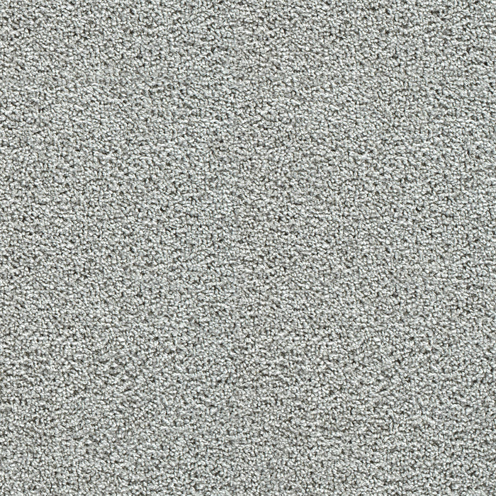 DreamWeaver - Captivating III - Carpet