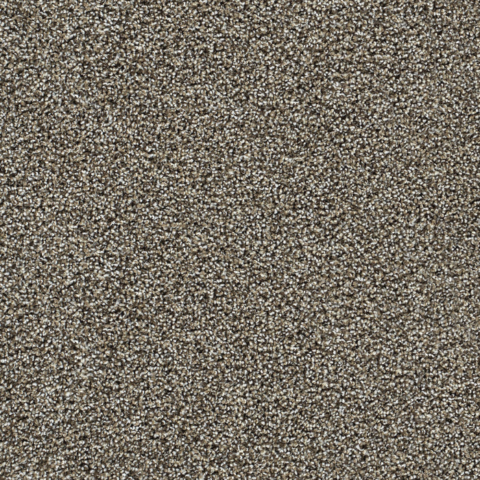 DreamWeaver - Captivating III - Carpet