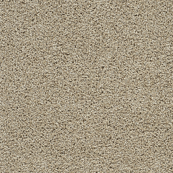DreamWeaver - Captivating III - Carpet