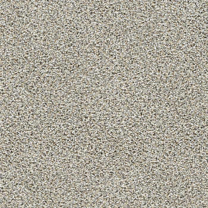 DreamWeaver - Captivating III - Carpet