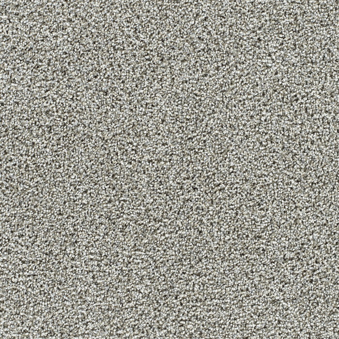 DreamWeaver - Captivating III - Carpet