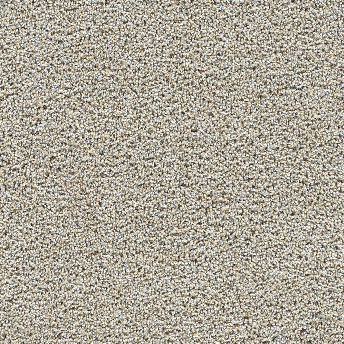 DreamWeaver - Captivating III - Carpet