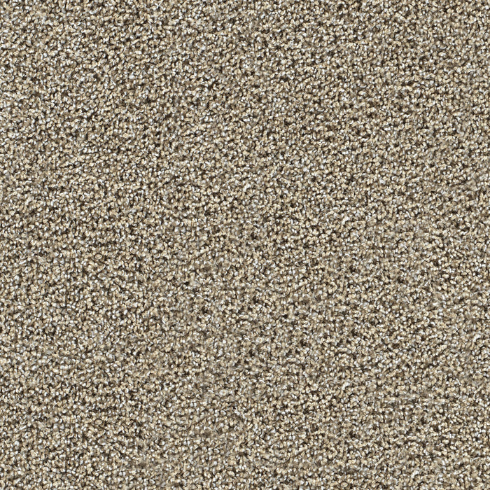 DreamWeaver - Captivating III - Carpet