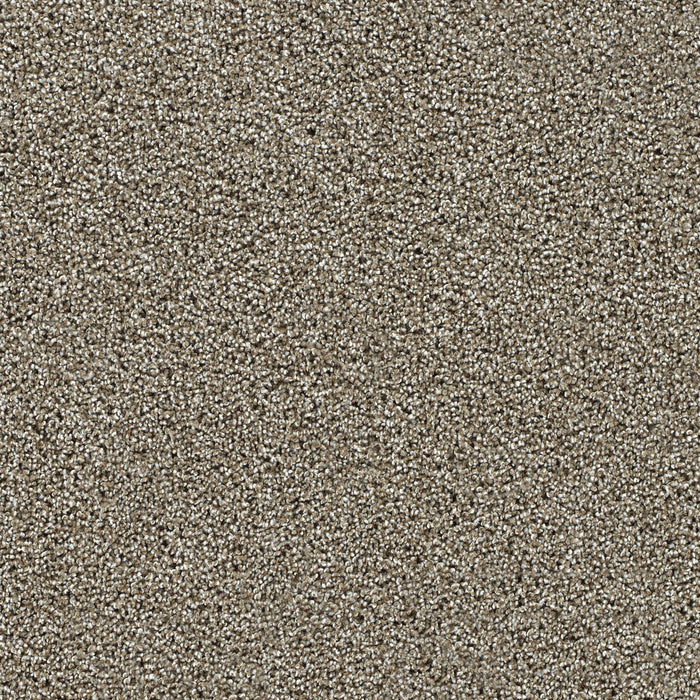 DreamWeaver - Captivating III - Carpet