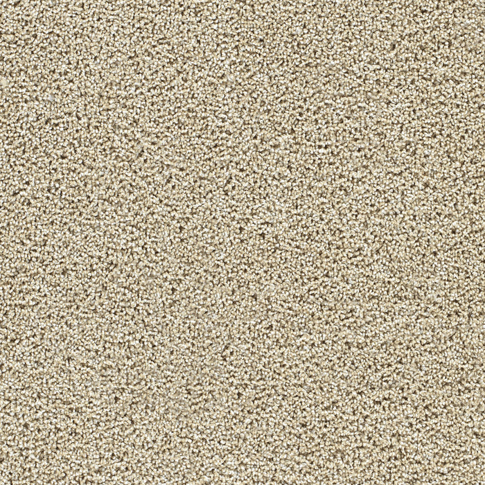 DreamWeaver - Captivating III - Carpet